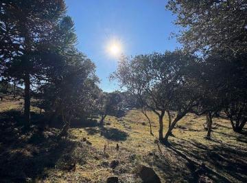 Rural · 20000m² · Área à venda no bairro Interior - Urubici/SC