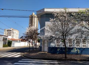 Comercial · 243m² · Prédio Comercial com 12 Salas e Recepção na Cidade Nova