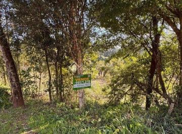 IMG-20250708-WA0012 · Terreno à Venda no São Gabriel em de Cruzeiro do Sul