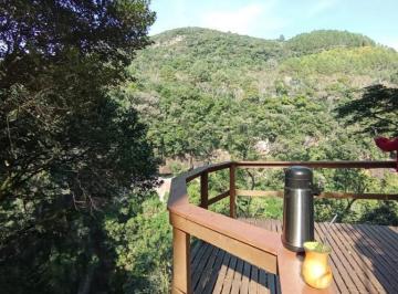 917180.jpg · Sitio - Bairro Arroio forquilha