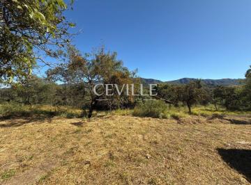 Terreno · 810m² · Lote Plano 810m² Cercado por app Mata Preservada