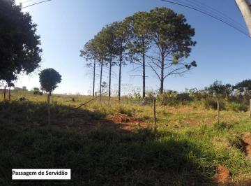 Comercial · 81373m² · Terreno Área em São José do Rio Preto