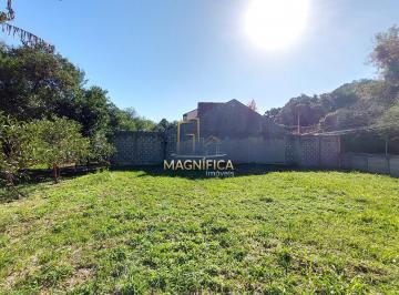 Terreno · 390m² · Terreno ZR1 com bosque no bairro Campo Comprido.