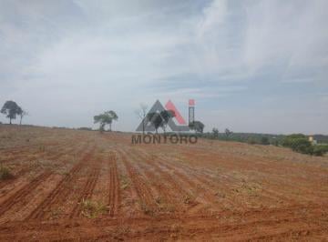 Rural · Rural Área em Araraquara
