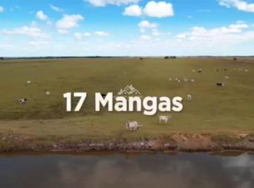 yijo22e2ody3ztzjzwe3zwe0_md · Sítio à Venda em Pontal de Ipiranga, Linhares - ES