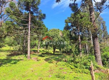 Rural · 40m² · 1 Quarto · 1 Vaga · Chácara em  Estrada Geral da Carapina - Vale do Carapina - São Francisco de Paula/RS