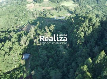 Terreno · 16000m² · Terreno à venda no bairro Recosta - Vale Real/RS
