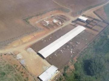 Foto 01 · EXCELENTE FAZENDA COM SISTEMA DE CONFINAMENTO A VENDA NA REGIÃO DE SÃO JOSÉ DOS CAMPOS - SP ??   Áre