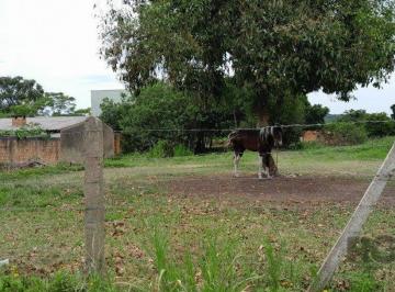 Terreno · 999m² · Terreno com 1.000m² , dimensões de 20x50,