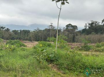 Imagem do Imóvel · Área à venda, Praia da Baleia, Camburi, São Sebastião, SP.