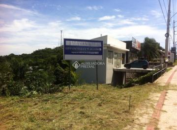 672435_i163e_672435678fe12c06e3e.jpg · Terreno à Venda - Ingleses SC 403