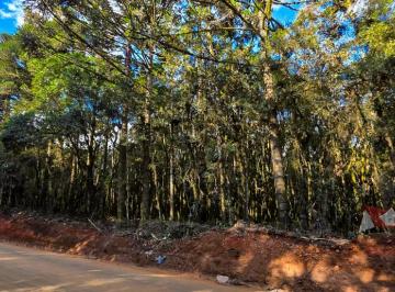 Rural , São José dos Pinhais · Chácara a Venda sem benfeitorias