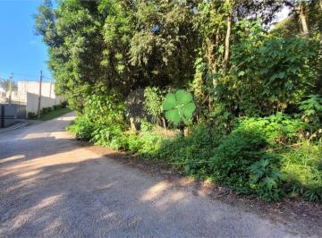Terreno · 369m² · Loteamento à venda em Canjica (terra preta) - SP