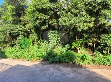 Terreno · 341m² · Loteamento à venda em Canjica (terra preta) - SP