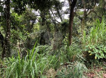 Terreno · 29790m² · Terreno à venda em Barreiro - SP
