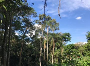 Terreno · 1535m² · Terreno à venda em Roseira - SP