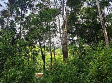 Imagem Principal · GLEBA/TERRENO COM MAIS DE 45 MIL M2 A VENDA EM MAIRIPORÃ