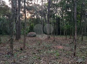 Terreno · 1125m² · Terreno à venda em Roseira - SP