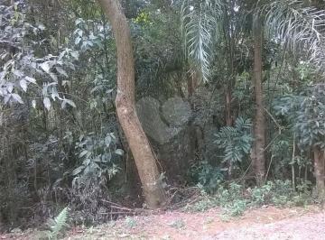 Terreno · 840m² · Terreno à venda em Roseira - SP