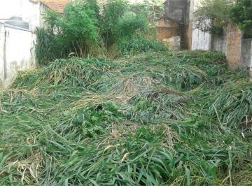 Terreno · 264m² · Terreno à venda em Imirim - SP