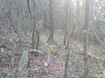 Terreno · 1000m² · Terreno à venda em Mato dentro - SP
