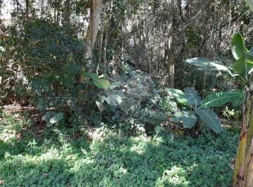 Terreno · 1000m² · Terreno à venda em Roseira - SP