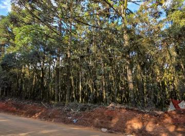 Rural , São José dos Pinhais · Chácara à Venda sem benfeitorias em São José dos Pinhais