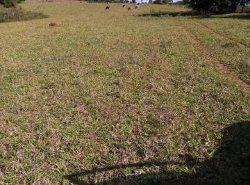 Rural , Cesário Lange · Sítio de 05 Alqueires em Cesário Lange-SP, próximo a Castelo Branco