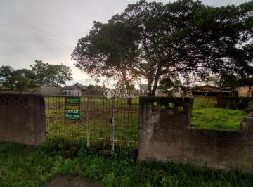 662407_i8HEb158iX6p_662407675c4cf474abb.jpg · Terreno plano 2000m² Dimenssões 40 x 100  próprio para ponto comercial