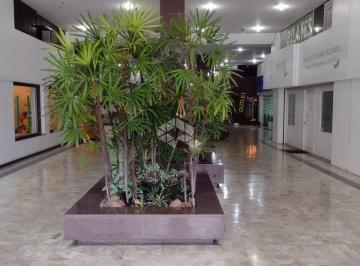 215789_iSi3773600_215789620d2af8b10ff.jpg · Sala comercial à venda no bairro Auxiliadora.