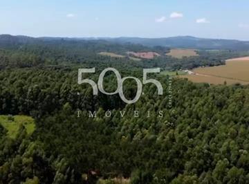 Foto 01 · Área de 50 Alqueires à Venda na Fazenda Flamboyant