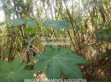 /27367/2648906/1752170518_I16627N1.JPG · Terreno em leilão - VILA SÃO SILVESTRE - BARUERI - SP