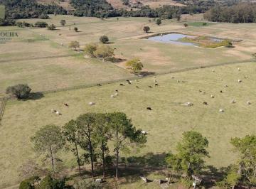 Rural · 16ha · 3 Quartos · 1 Vaga · Sítio em Tatuí SP