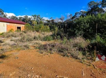 Rural , São José dos Pinhais · Chácara a Venda