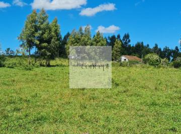 Foto 01 · Fazenda à venda em Araruama-RJ: 52 hectares de área no bairro XYZ