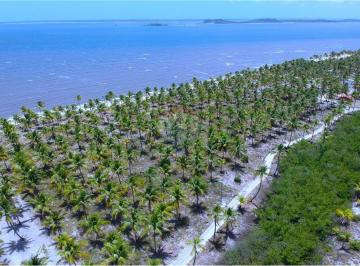 Terreno · 13500m² · Terreno a venda com 13.500m² com 100m de frente por mar na Ilha do Contrato por R$ 3.750.000,00