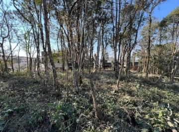 a4255f8acbb0cec52051280b4867695e3d856435 · Terreno à venda, 1000 m² por R$ 250.000,00 - Embu - Colombo/PR