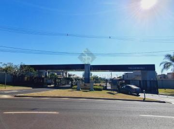 Casa · 250m² · 3 Quartos · 4 Vagas · Casas Residenciais Condomínio em Ribeirão Preto