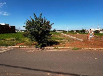 Terreno · 270m² · Terreno em São Rafael, Araçatuba/SP de 270m² à venda por R$ 160.000,00