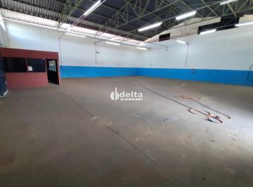 Comercial · 1400m² · Galpão disponível para Locação no bairro Distrito Industrial Leste em Uberlândia-MG