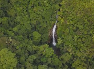 Rural · 137ha · Chácara com 137 hectares - São Bonifácio