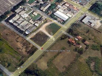 Terreno · 4500m² · Terreno para alugar, 4500 m² por R$ 7.500,00/mês - Afonso Pena - São José dos Pinhais/PR