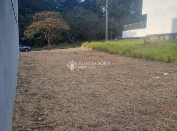 723762_i19VNp8J567d2VI3zZC_7237626868605e2e002.jpg · Tereno com 200m²