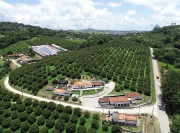 Rural · 720m² · 3 Quartos · 10 Vagas · Sítio à Venda em Biritiba Mirim com Produção de Caquis