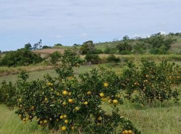 202507132335023202.jpg · Sítio para Venda em Araruama, São Vicente de Paula, 3 dormitórios, 1 banheiro