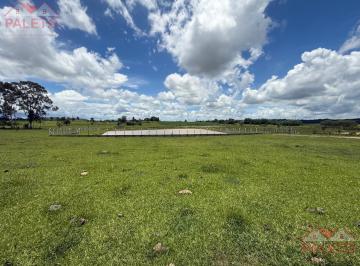 Rural · 270m² · 4 Quartos · Sítio 1,36 alqueires com lago de peixe a venda na cidade de Porangaba interior de SP