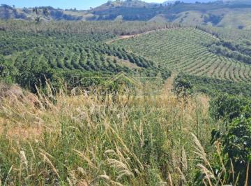 202507141839483314.jpeg · Fazenda para Venda em Lambari, À km da cidade