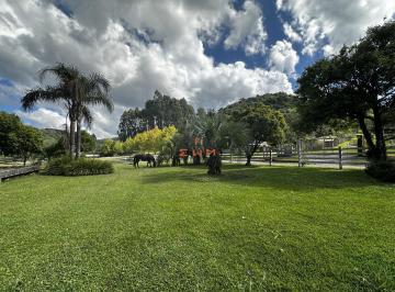 38549834_g.jpg · 
                                Sitio de Alto Padrão em Farroupilha - Infraestrutura Completa - Ven