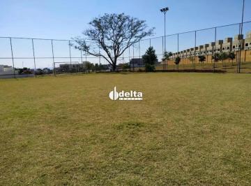 Terreno · 465m² · Terreno no Condomínio ALPHAVILLE I disponível em Uberlândia MG