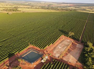 Foto 07 · EXCELENTE FAZENDA CAFEEIRA EM MONTE ALEGRE DE MINAS